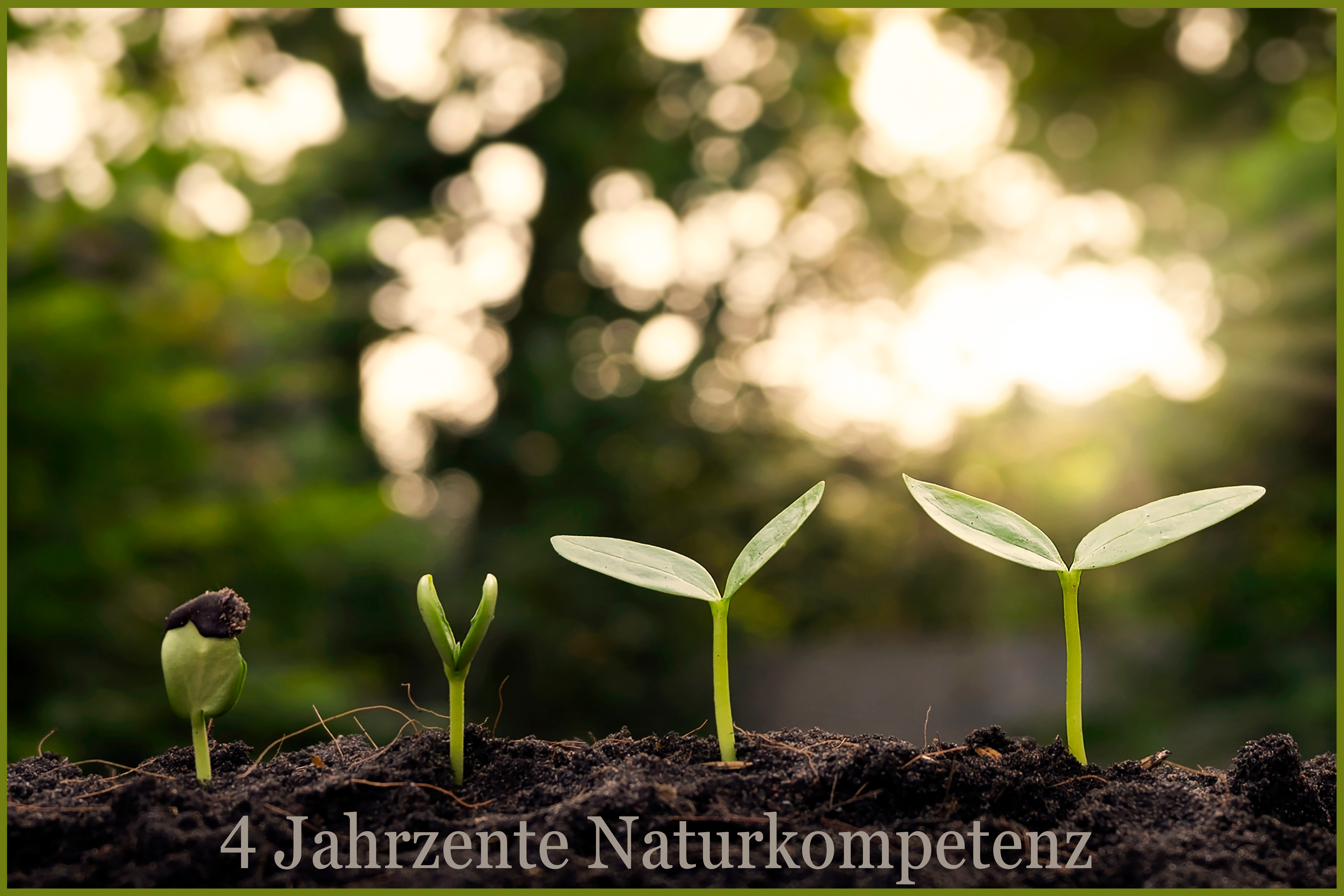 Generationsbetrieb mit über 4 Jahrzenten Erfahrung. Holz Haus Bau. Holzhaus Bayern.