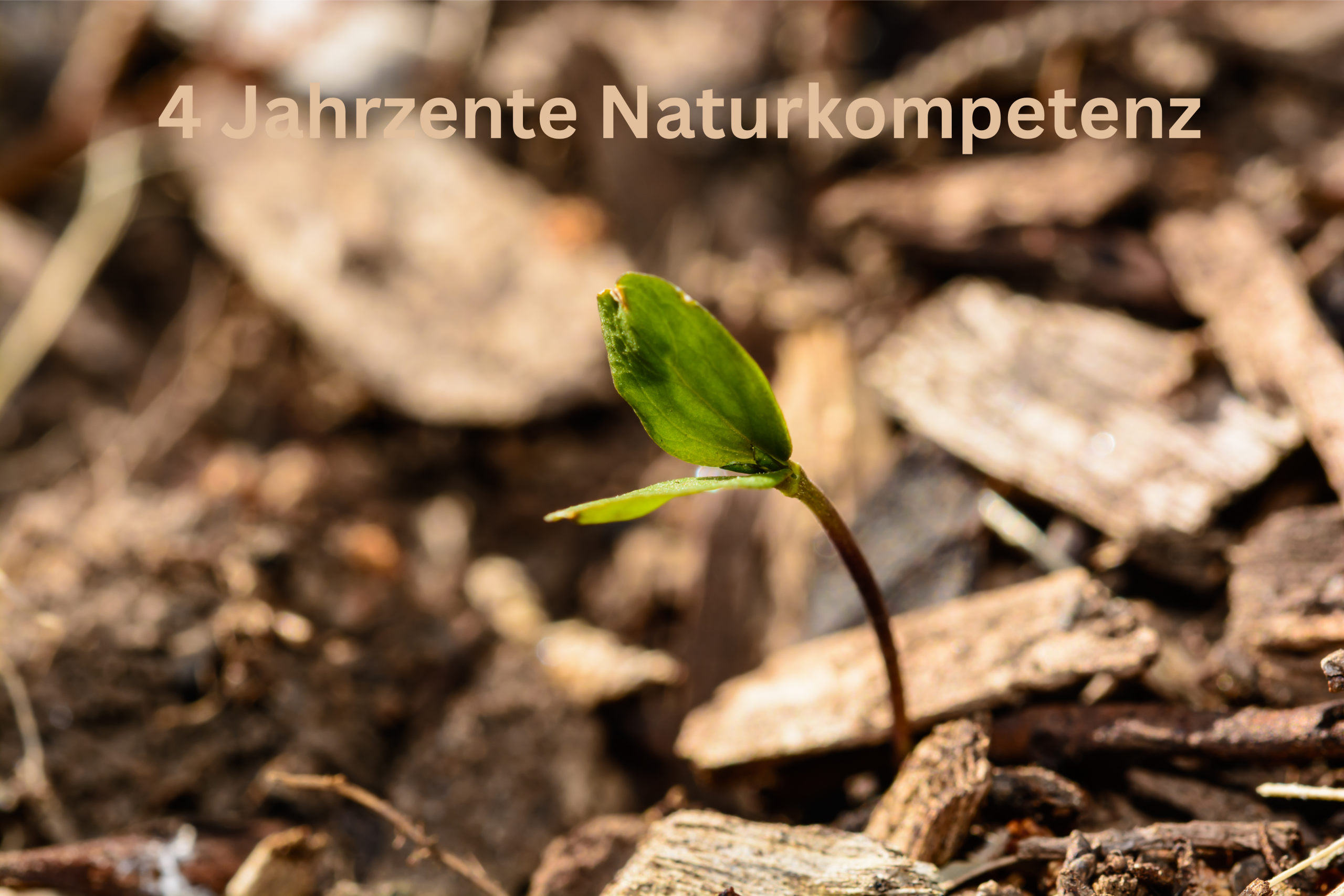 Die Firmengeschichte - Wie alles begann.