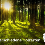 Verwendete Holzarten im Holzhausbau