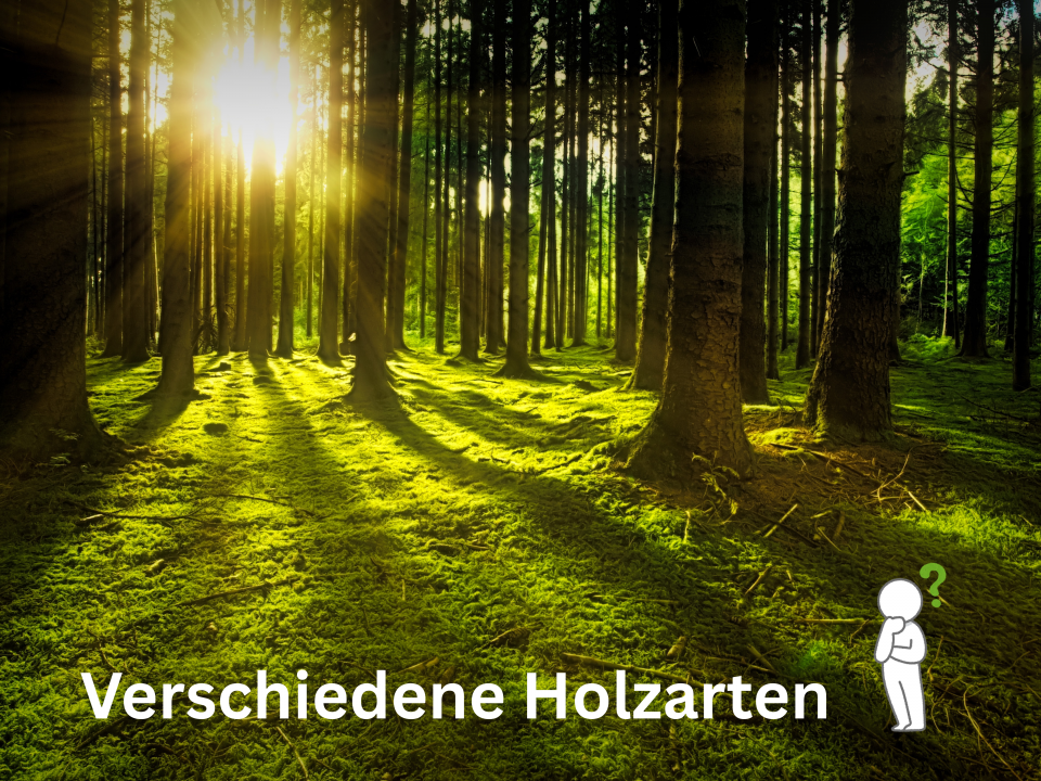 Verwendete Holzarten im Holzhausbau